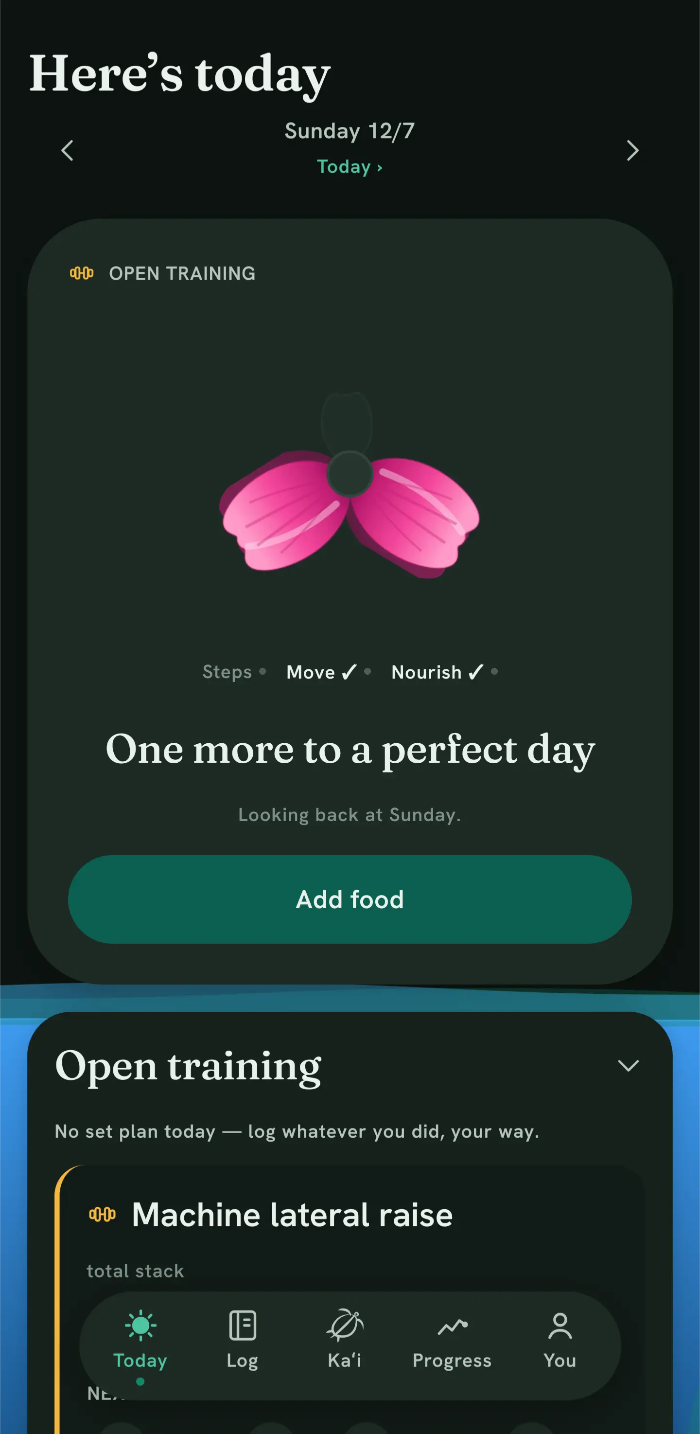 Kupaʻa’s Today screen at night: the Day Bloom one petal from perfect